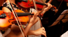 String Quartet