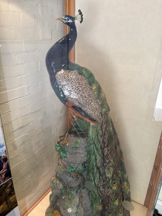 Minton Peacock