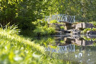 Swiss Garden