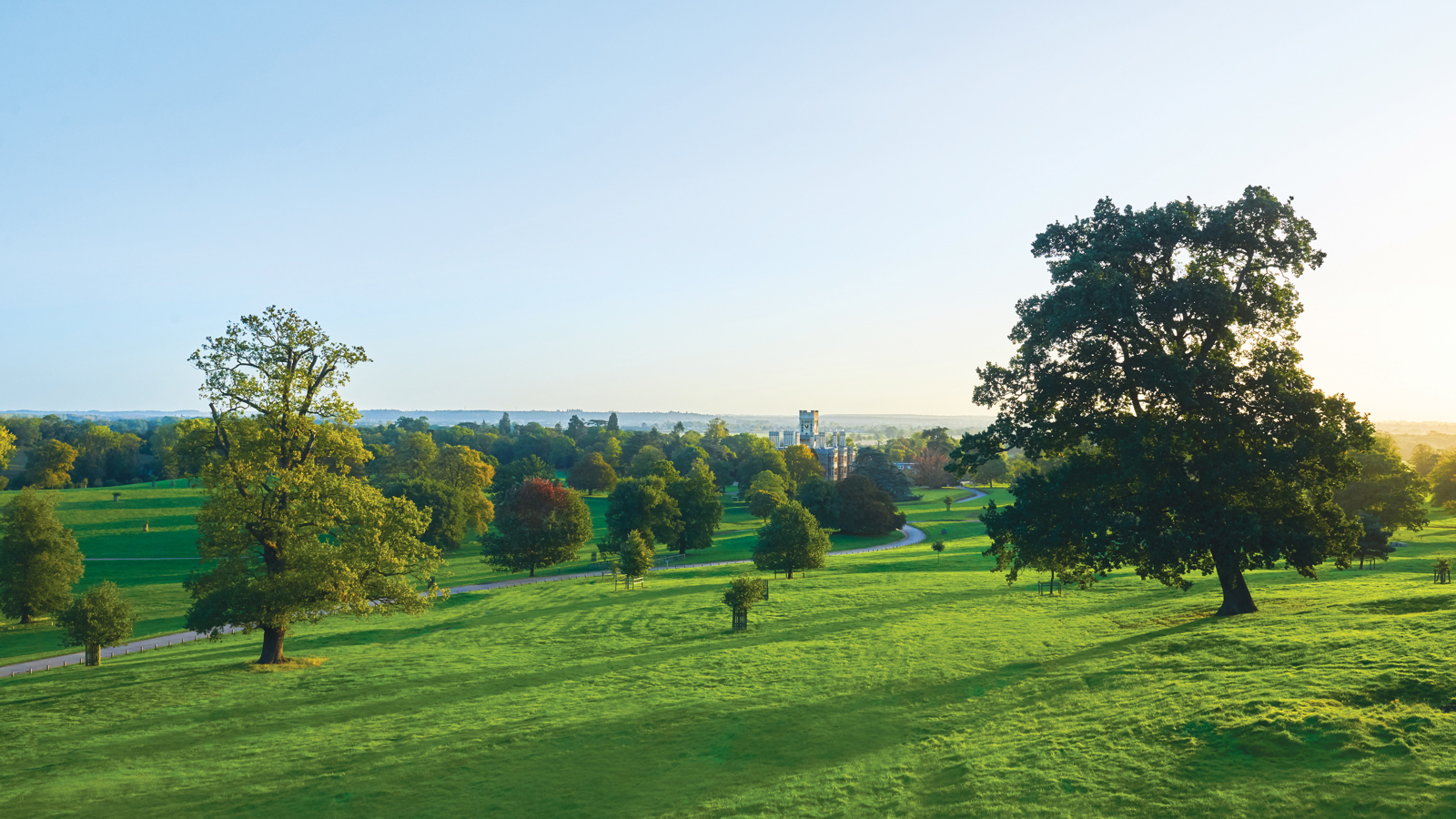 Parkland. © The Shuttleworth Trust