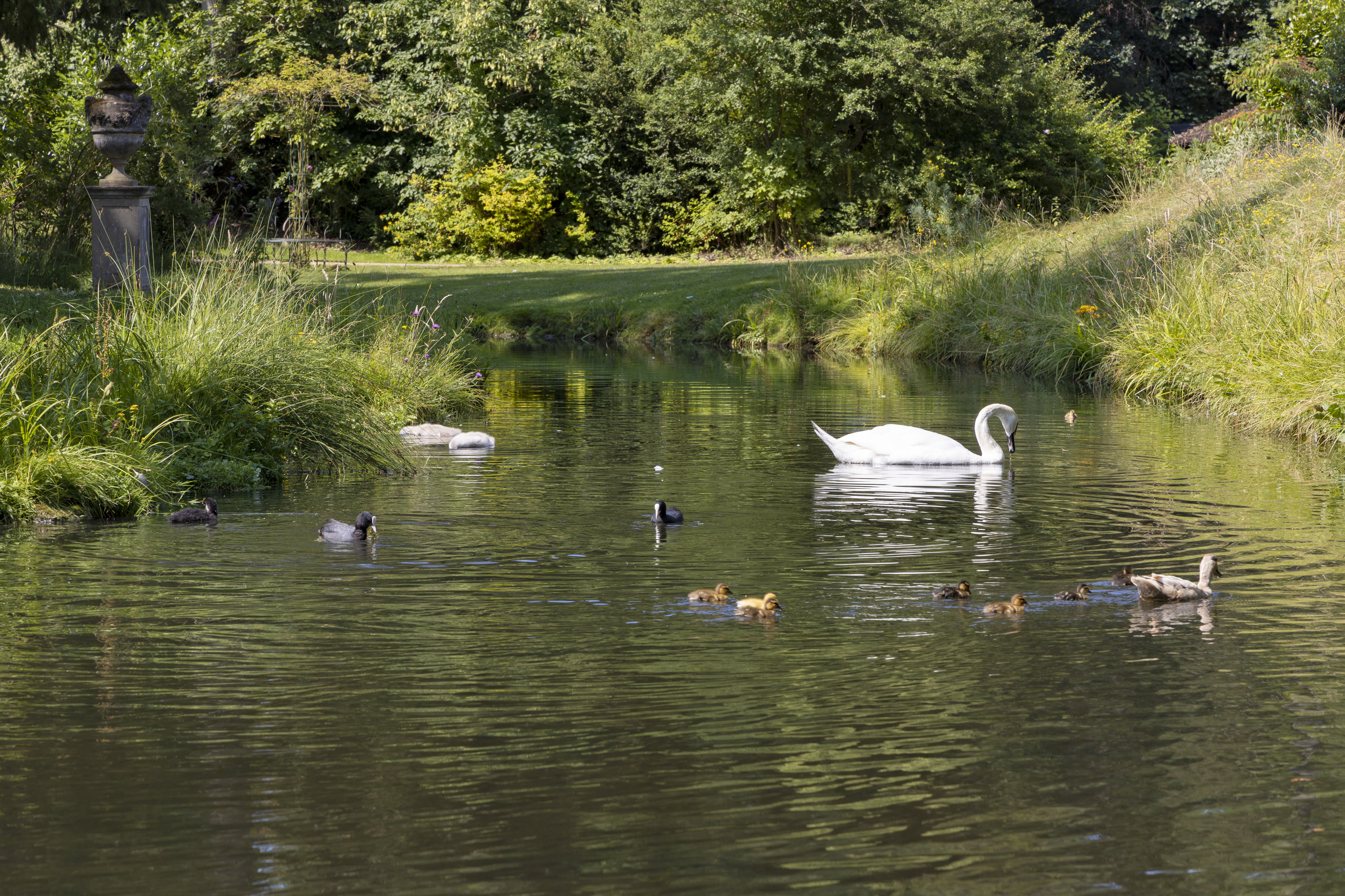 D Harbar SG July2021 017