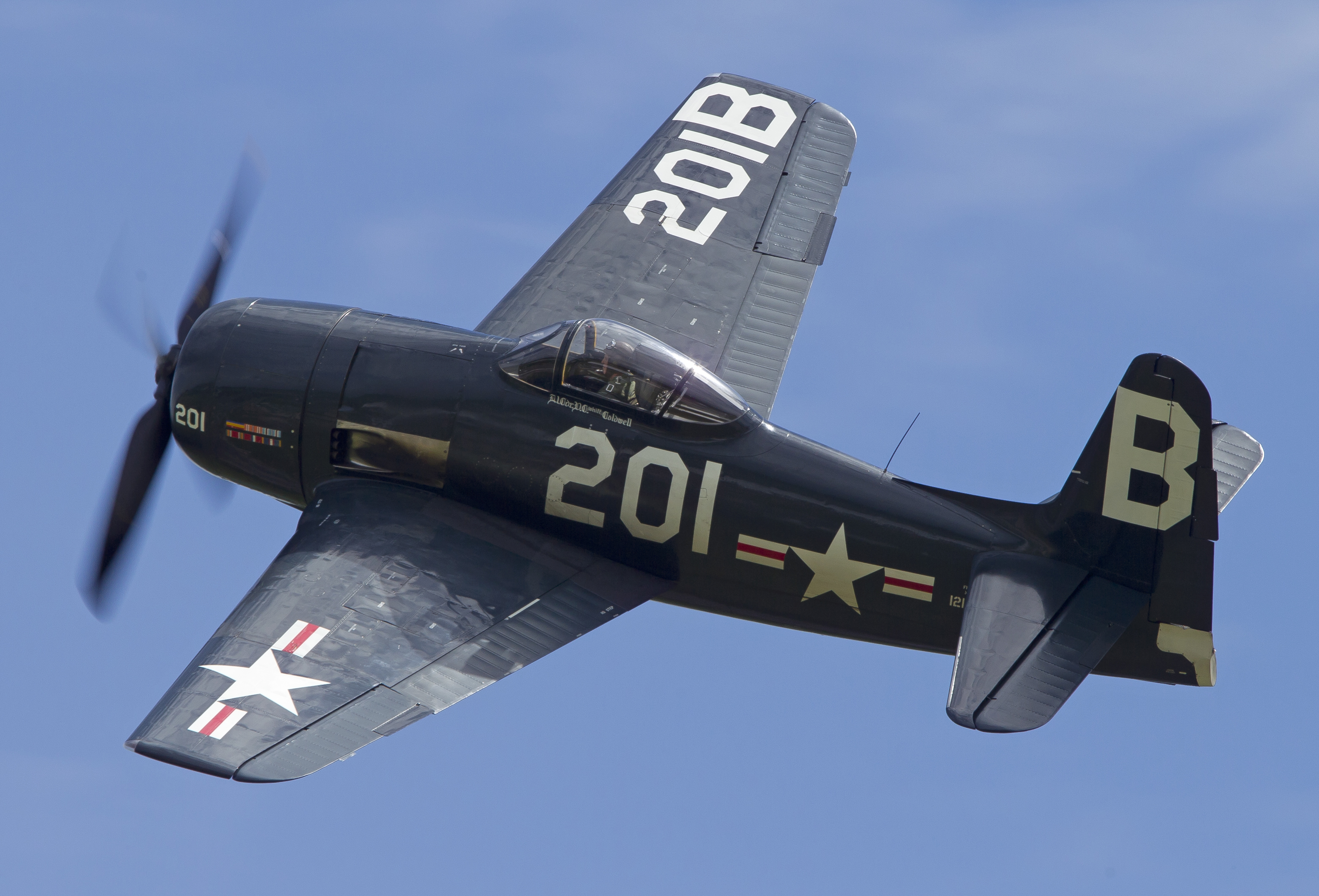 Bearcat