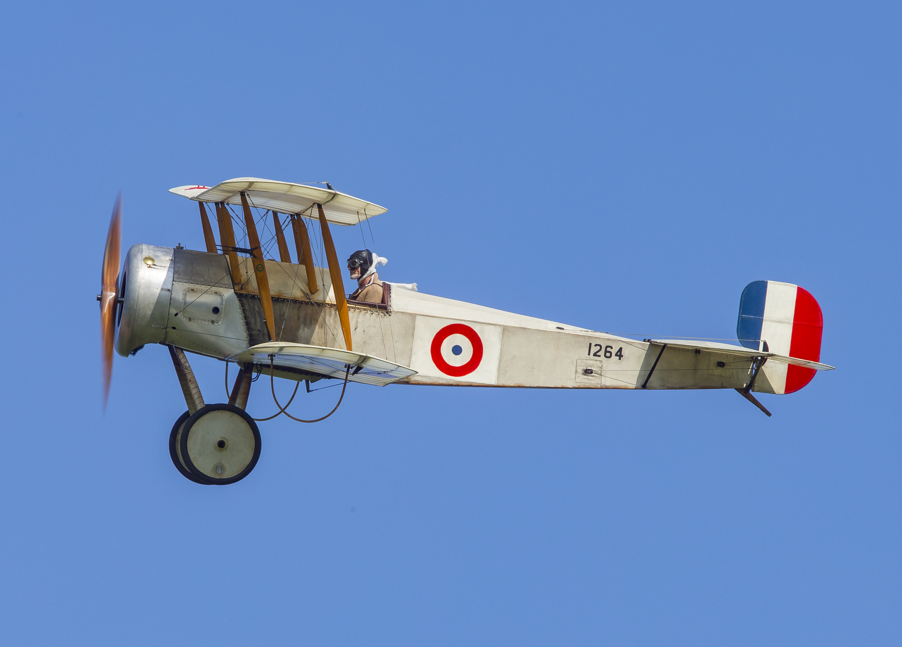 D Harbar Owfly Navy June 2016 158