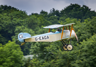 D Harbar Dove June 2016 002