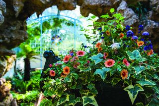Inside The Grotto © The Shuttleworth Trust.