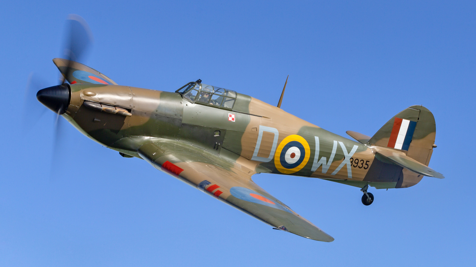 D Harbar PHF 2025 007