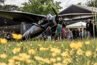 Lysander In A Field Of Flowers. Special Operations Evening 2023 © The Shuttleworth Trust. Photo Nick Blacow