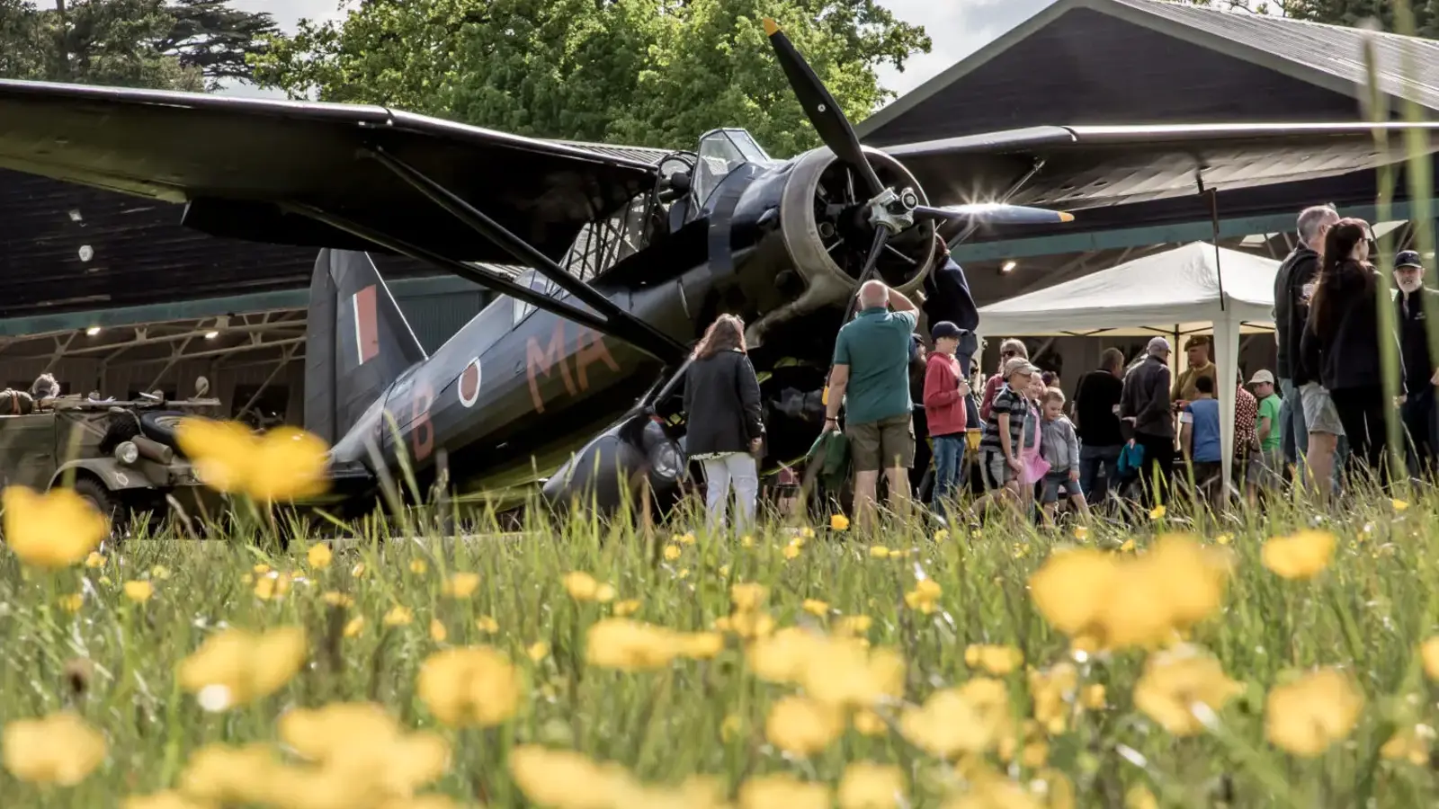 Lysander In A Field Of Flowers. Special Operations Evening 2023 © The Shuttleworth Trust. Photo Nick Blacow