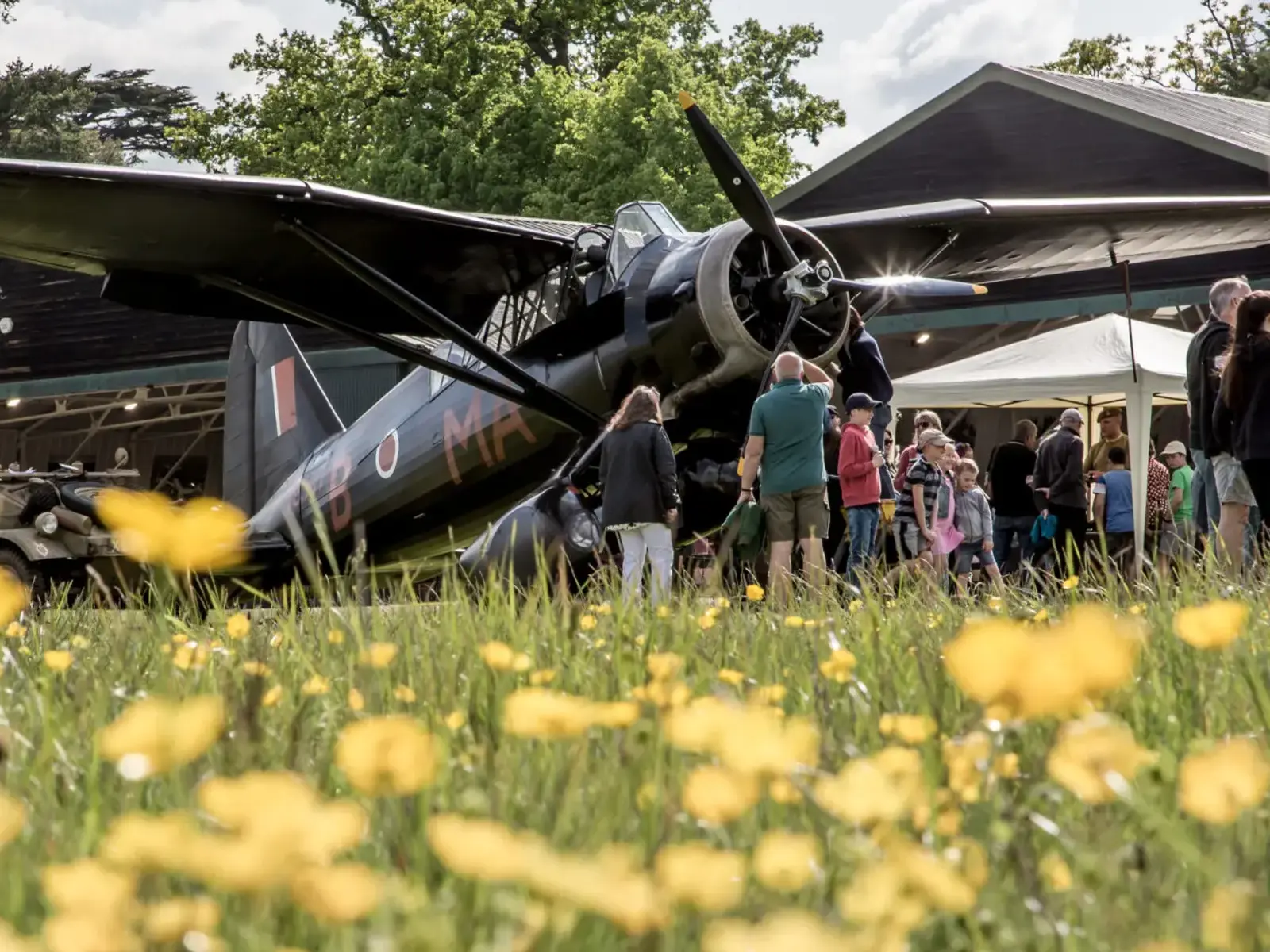Lysander In A Field Of Flowers. Special Operations Evening 2023 © The Shuttleworth Trust. Photo Nick Blacow
