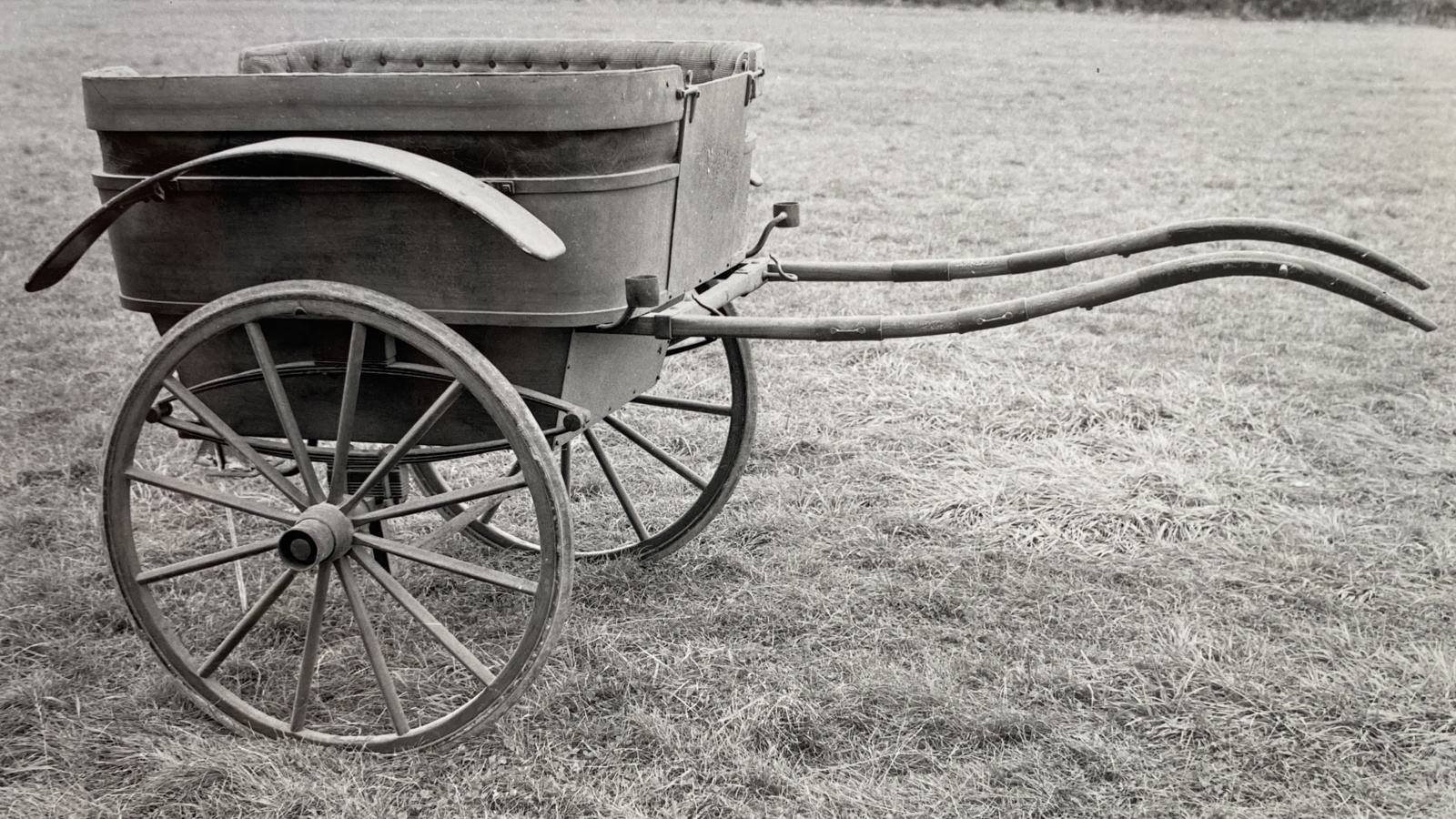 Guttery Governess Cart (Tub)