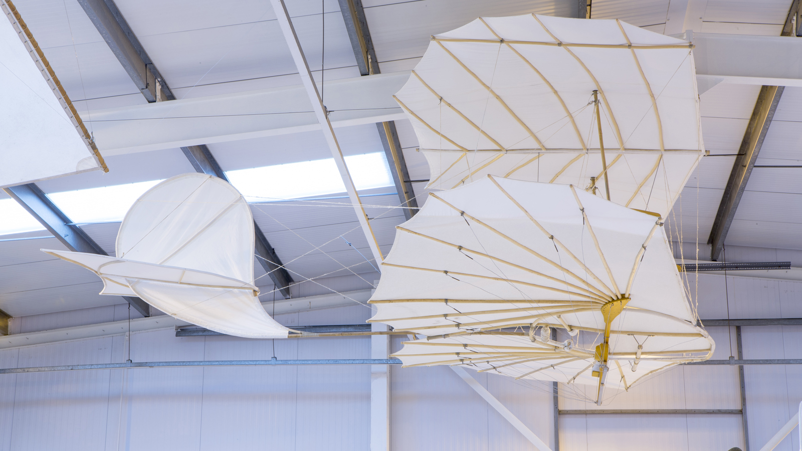 D Harbar Photography OW Nov2015 007