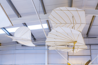 D Harbar Photography OW Nov2015 007