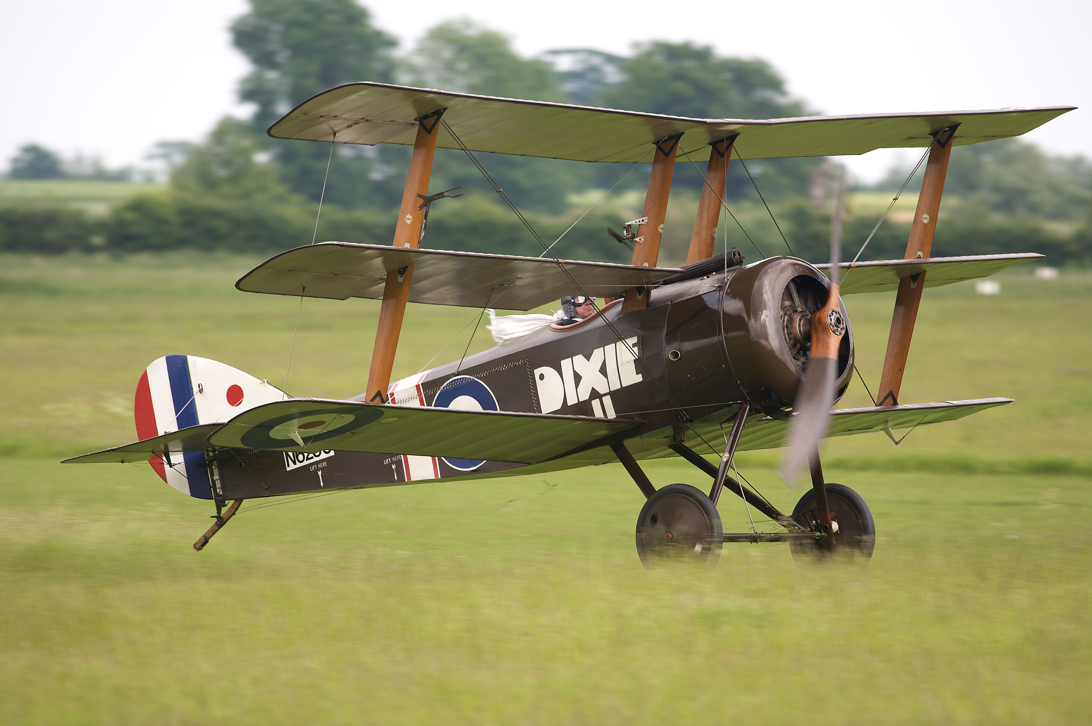 Triplane D 0457 SJEFF