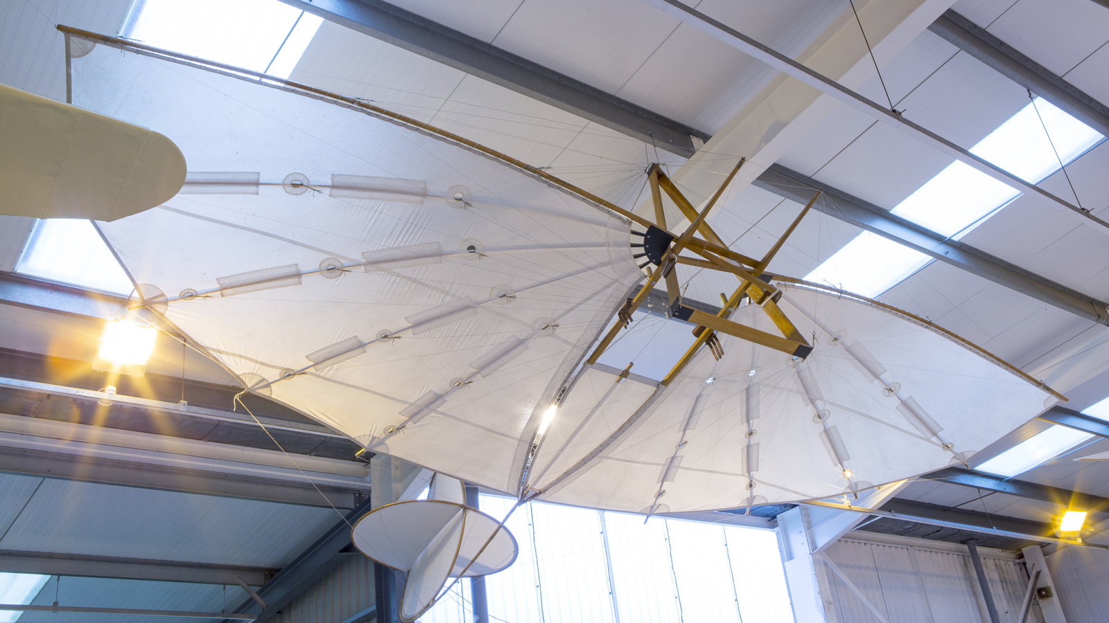 D Harbar Photography OW Nov2015 008