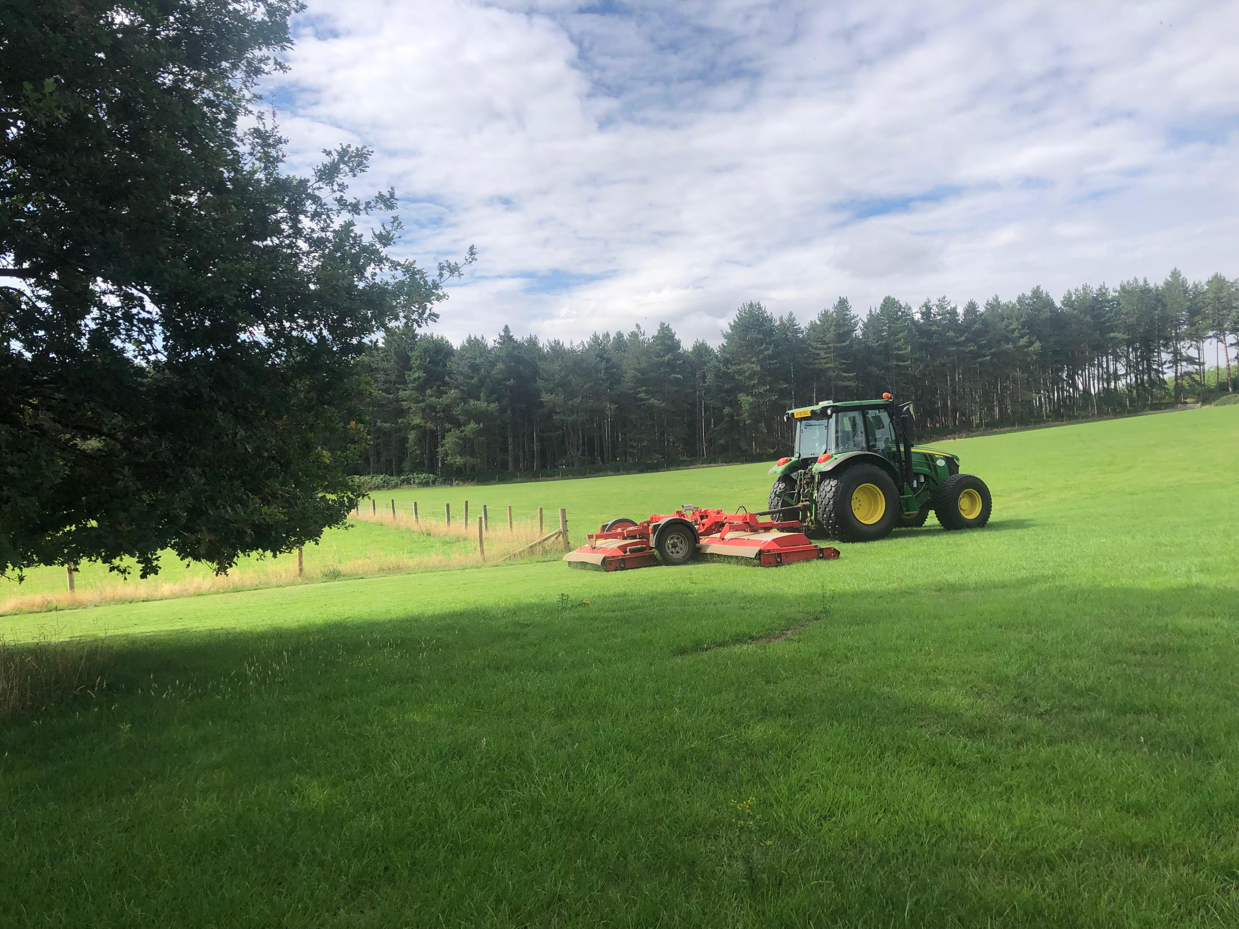 PHOTO 2025 08 04 16 26 18