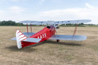 Southern Martlet (2)