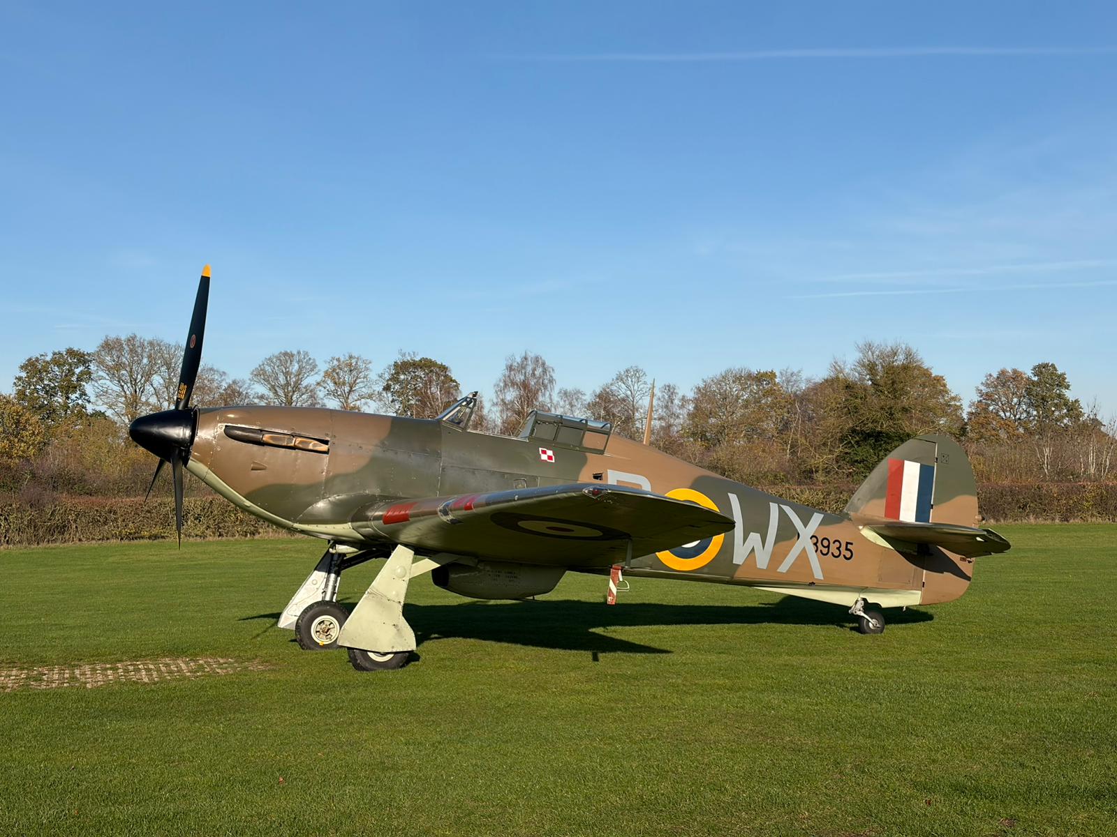 PHOTO 2025 11 26 15 36 53