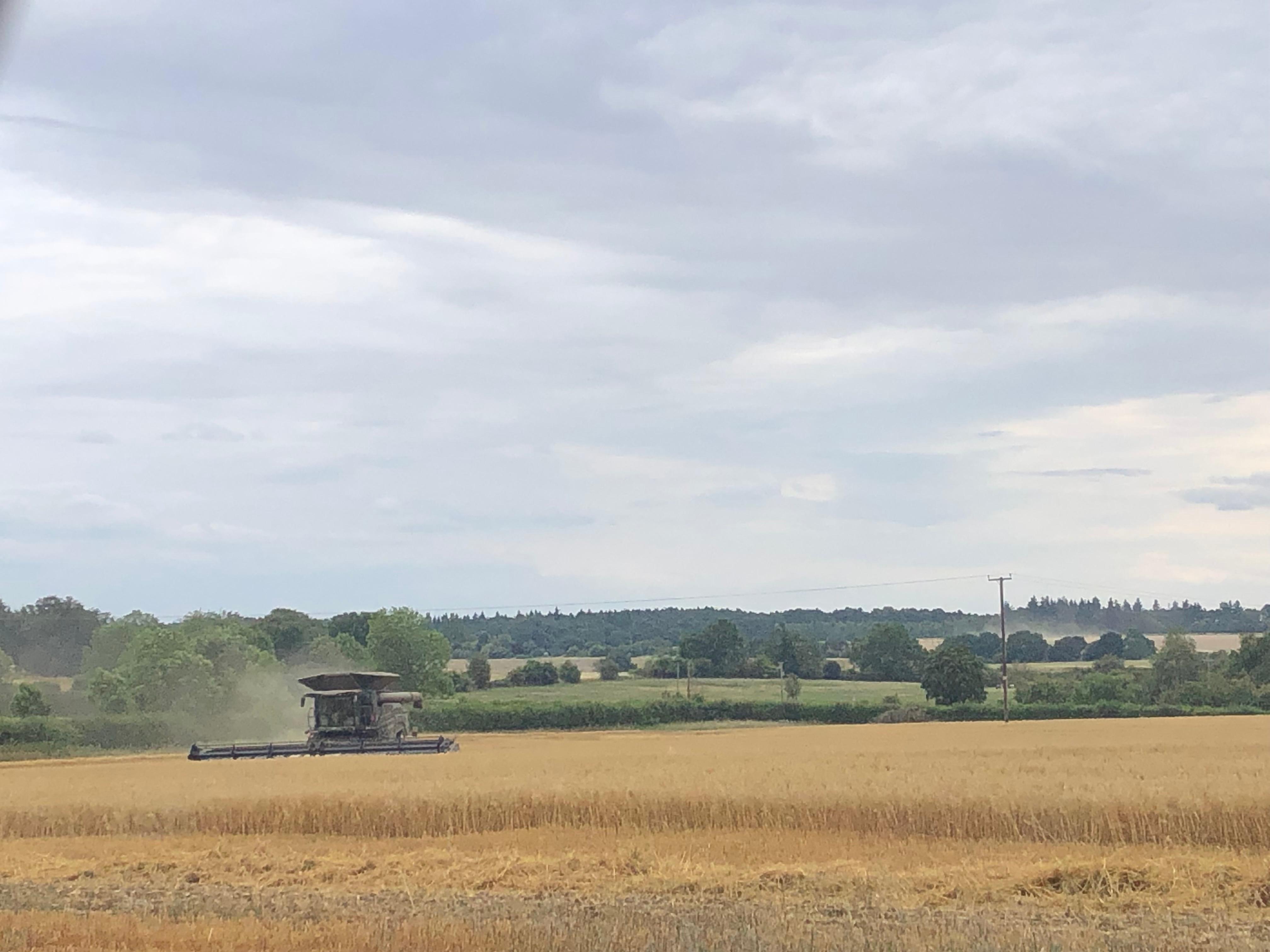 PHOTO 2025 08 04 16 26 17