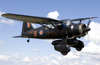 D Harbar Photography Lysander 2014 005