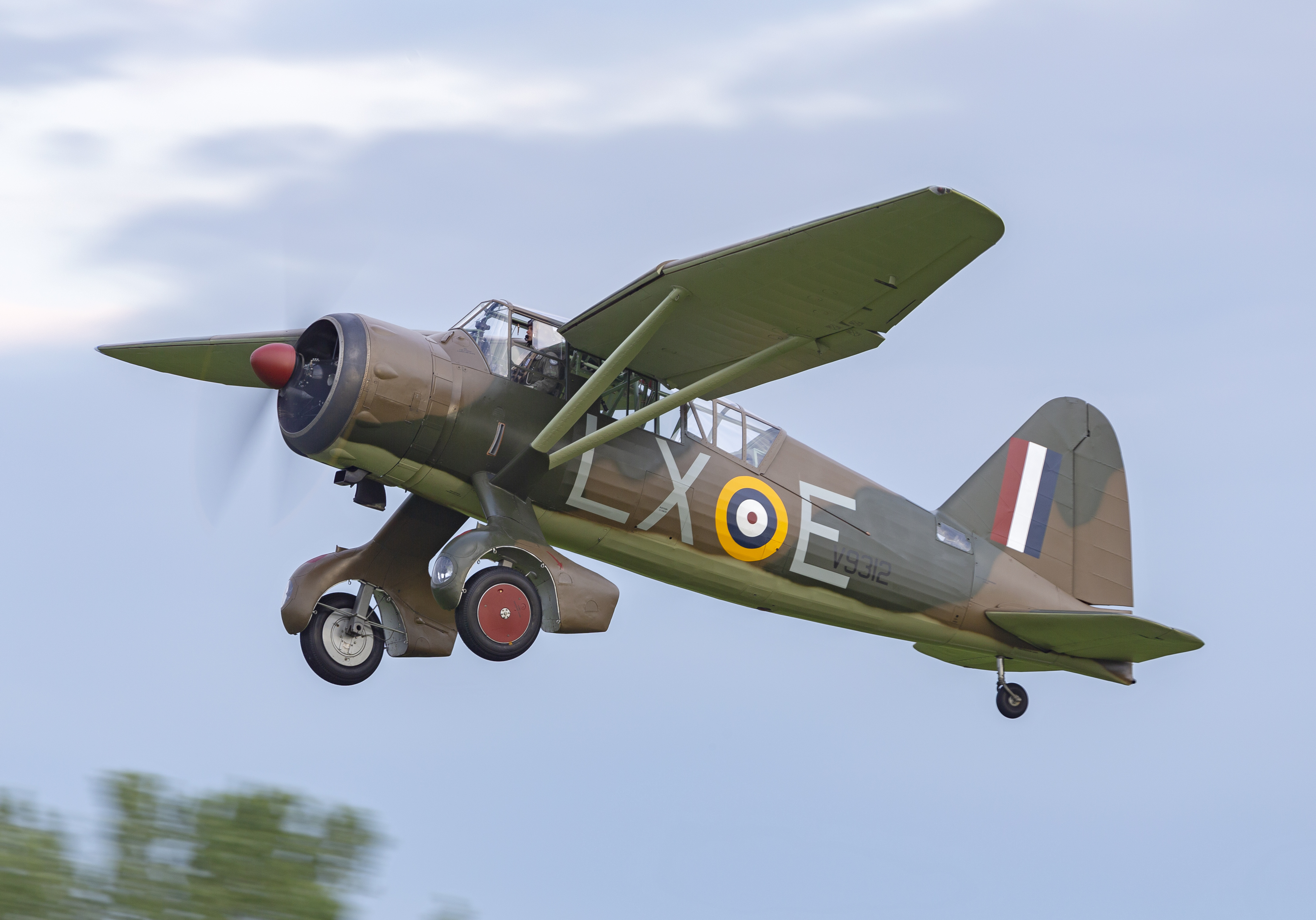 D Harbar Owmayeve 2019028