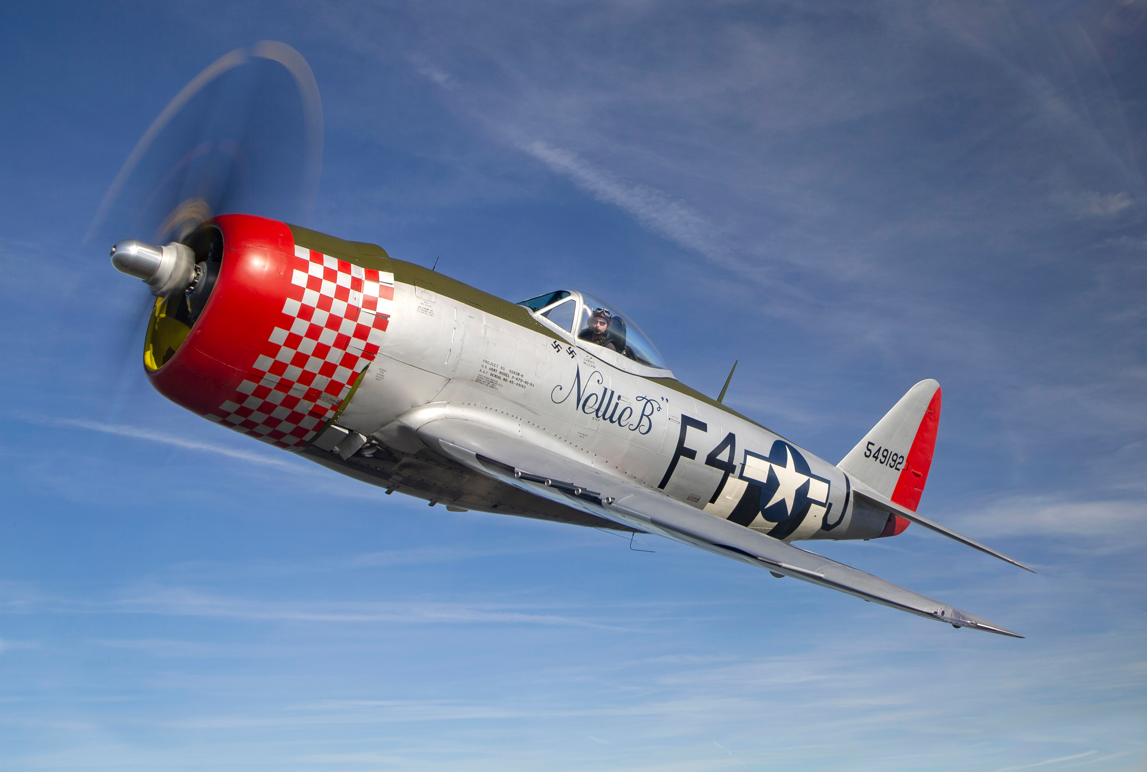 Darren Harbar Photography Nellie