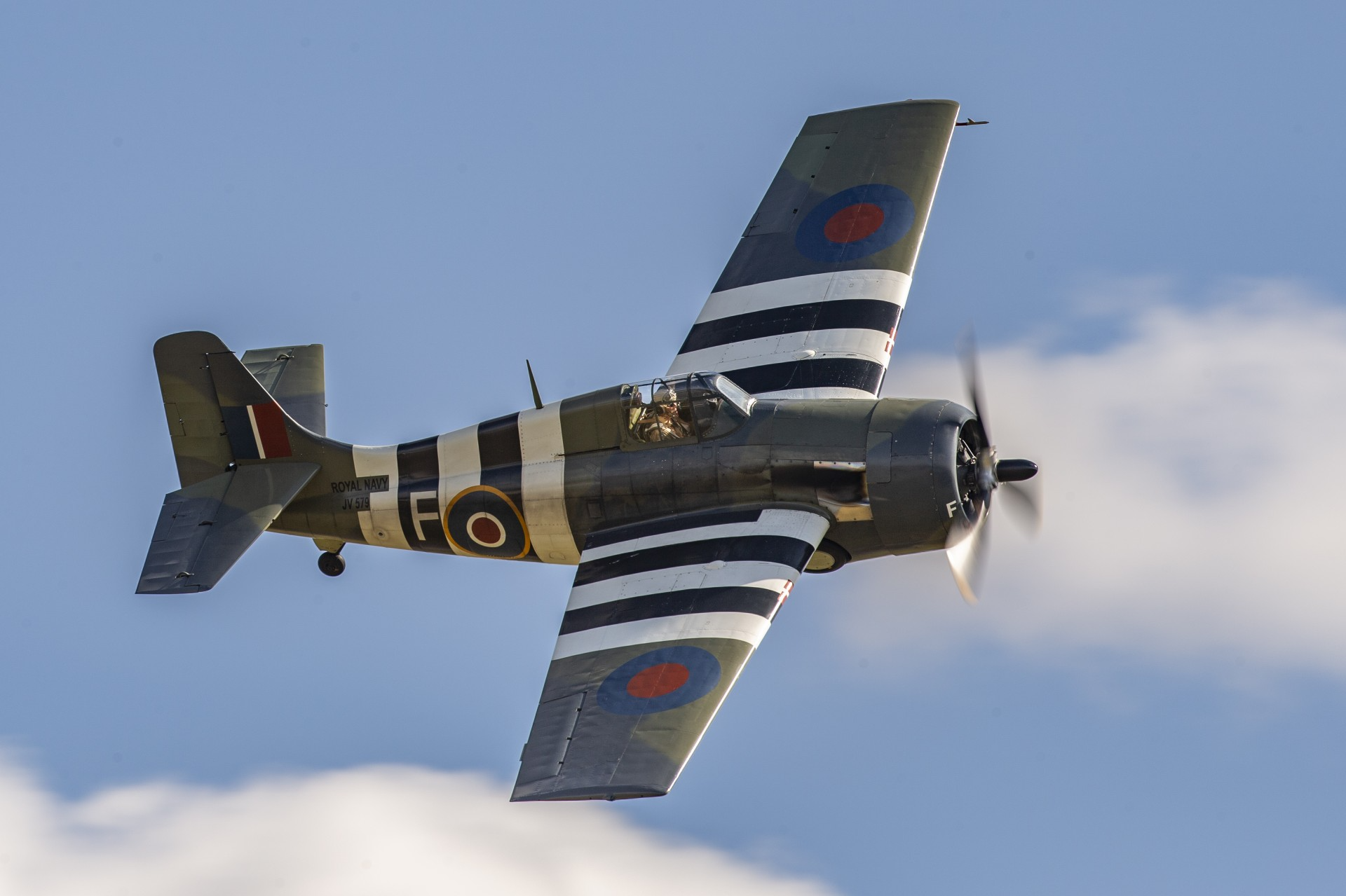 Grumman Wildcat FM 2 TFC