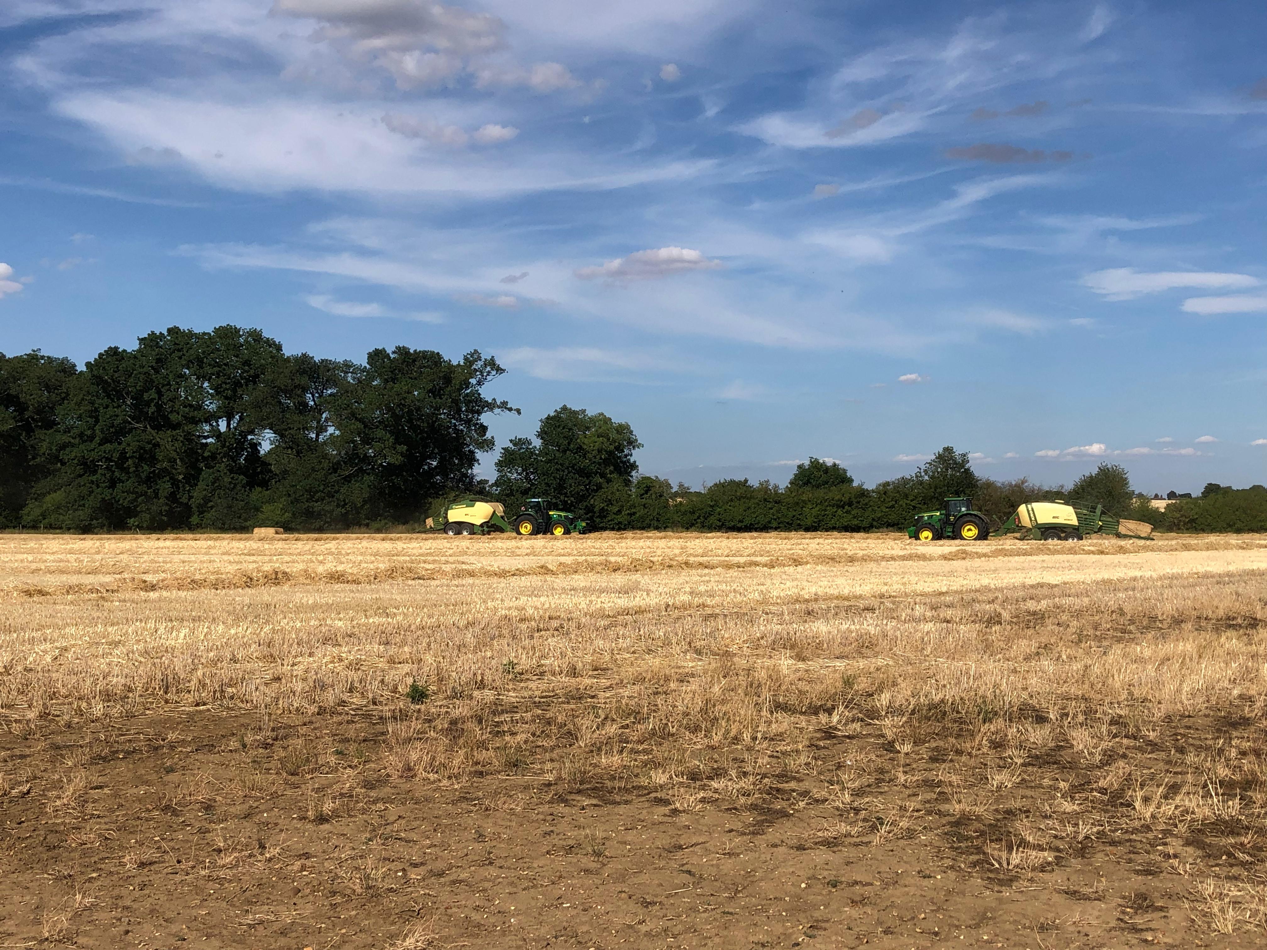 Farming On The Estate
