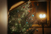Christmas Tree In The House. © The Shuttleworth Trust. Photo Oliver Lloyd