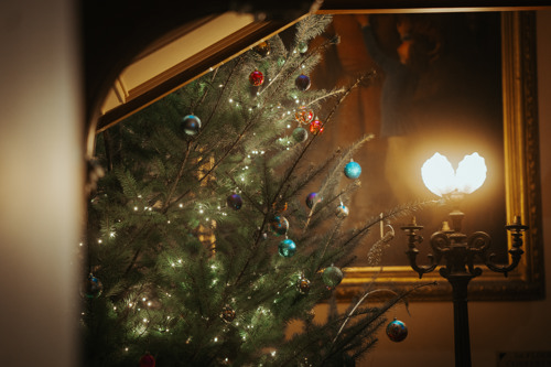 Christmas Tree In The House. © The Shuttleworth Trust. Photo Oliver Lloyd