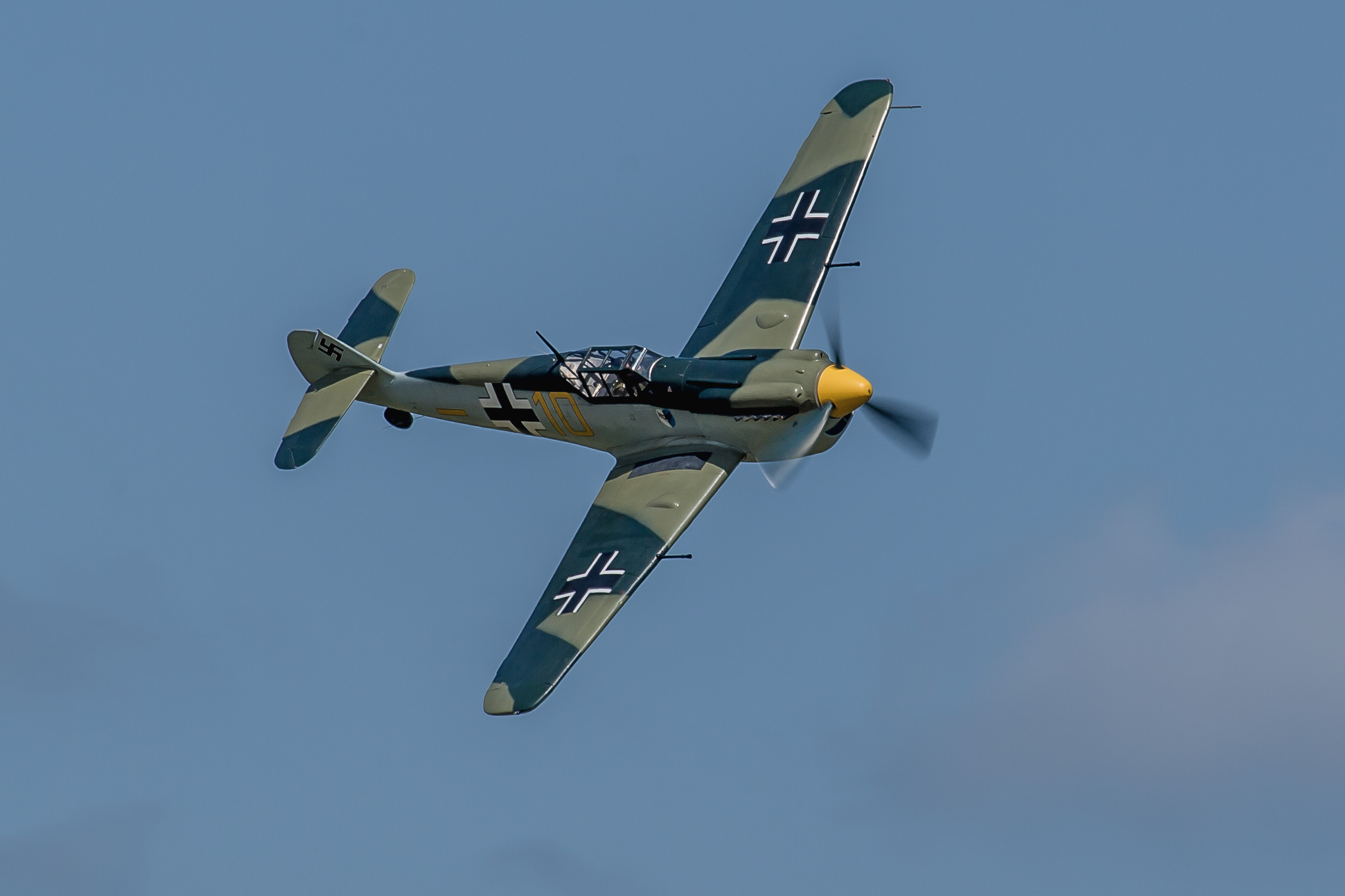Buchon