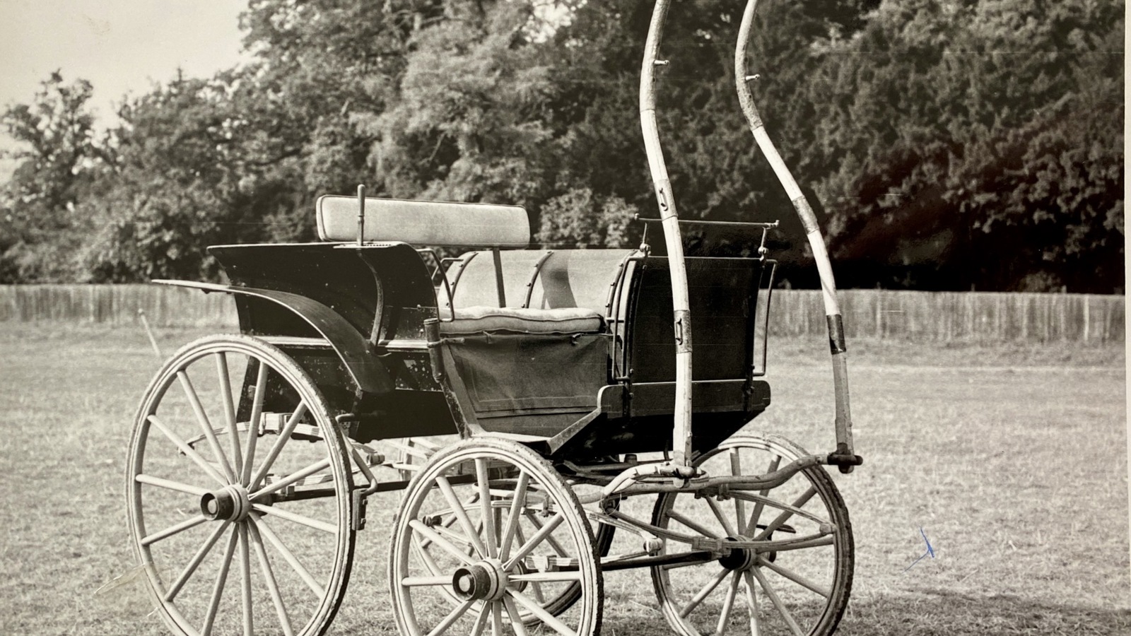 Guttery Dog Cart Phaeton