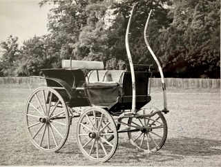 Guttery Dog Cart Phaeton