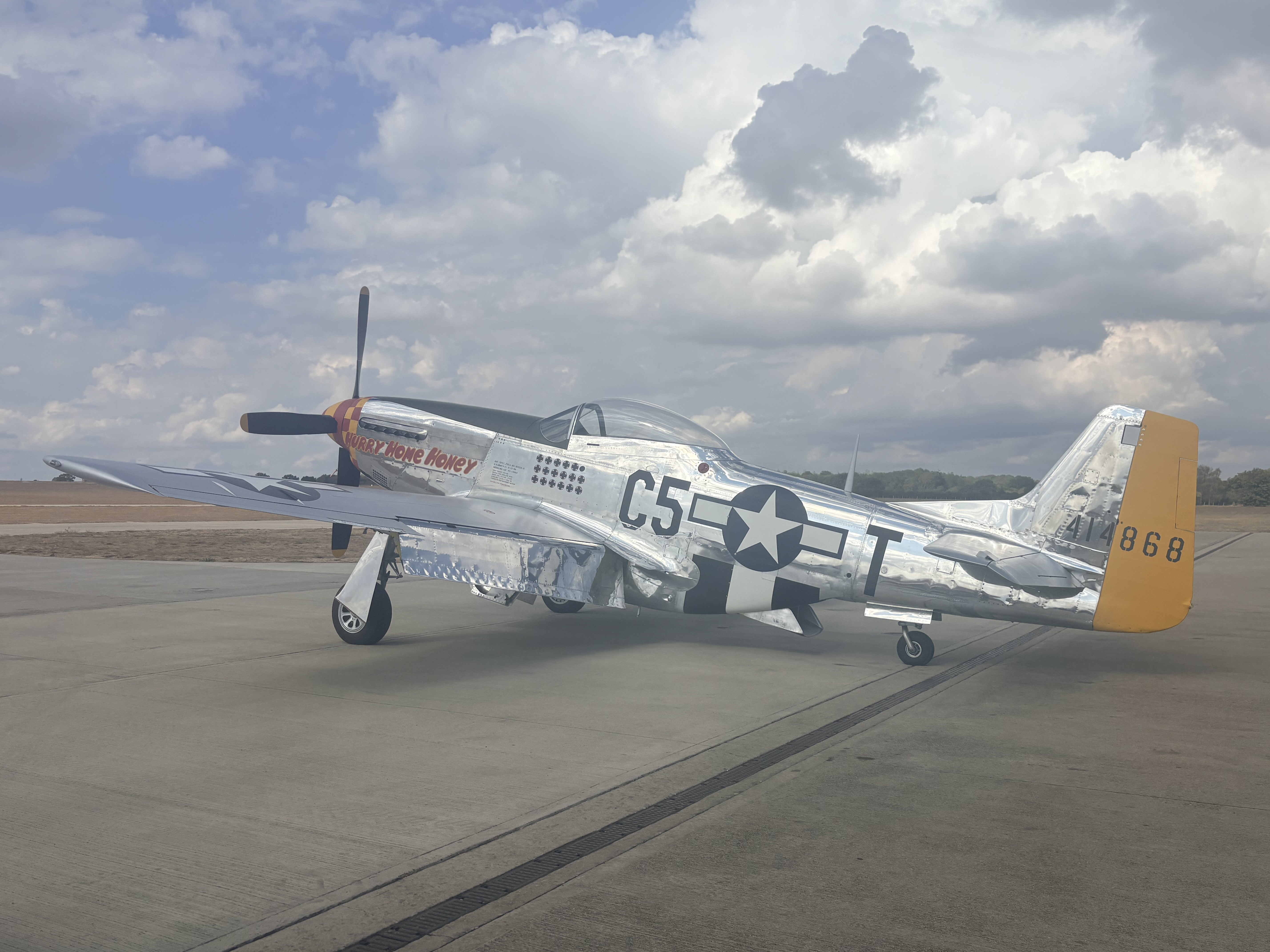 Hurry Home Honey (Mustang)