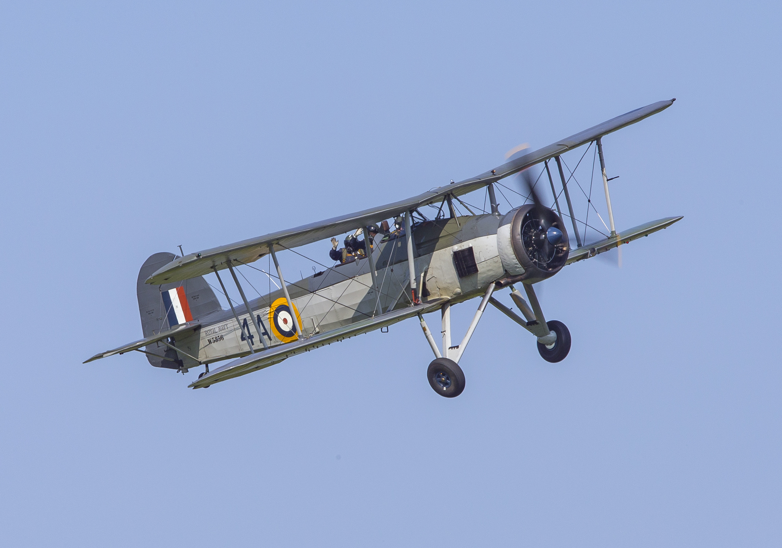 D Harbar Owfly Navy June 2016 153