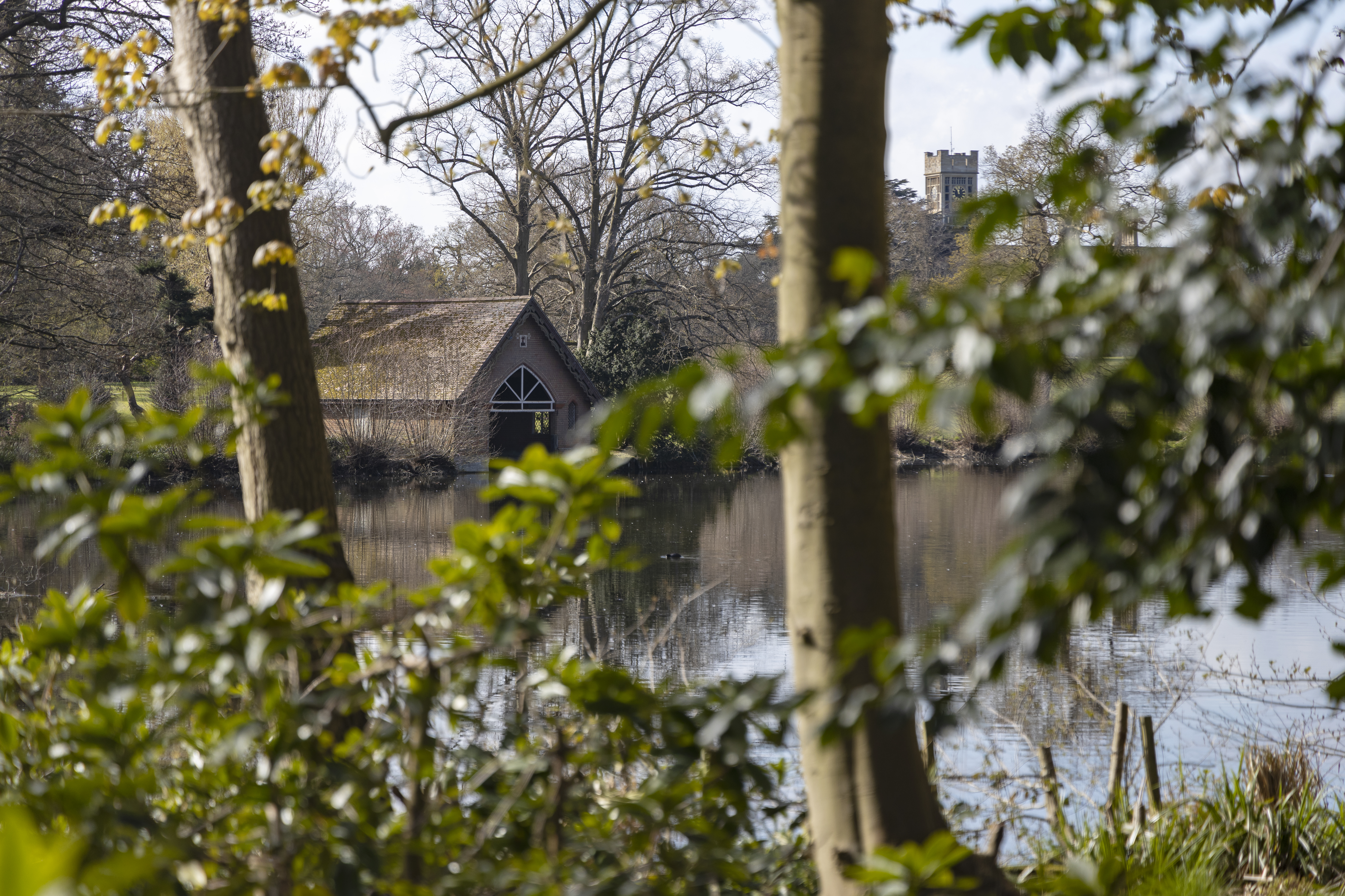 D Harbar Shutsg Apr2022 023