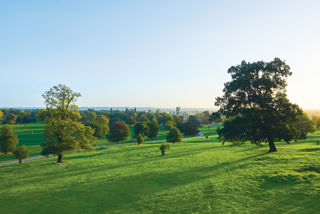 Parkland. © The Shuttleworth Trust