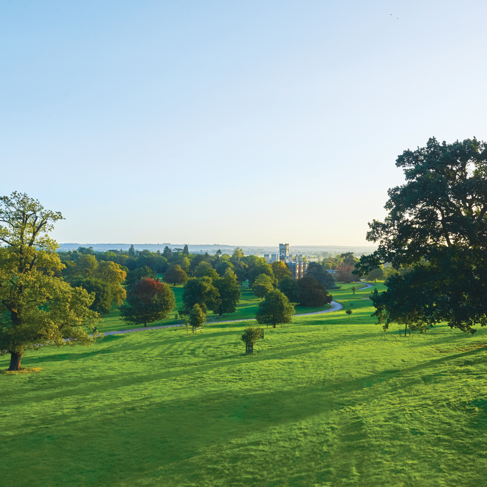 Parkland. © The Shuttleworth Trust