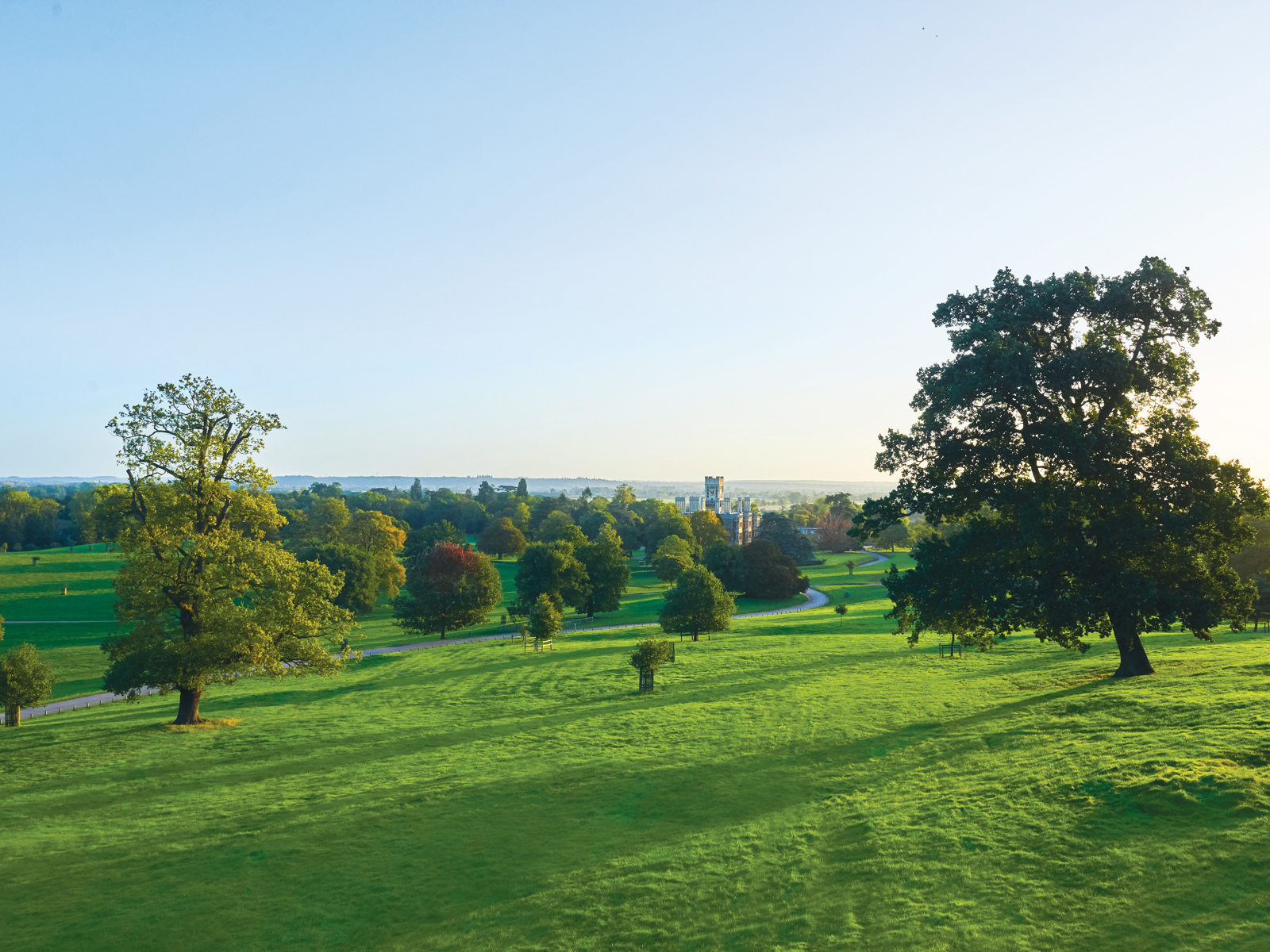 Parkland. © The Shuttleworth Trust
