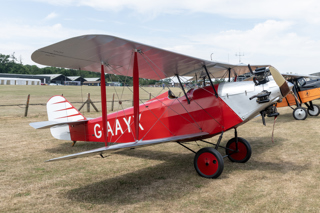Southern Martlet