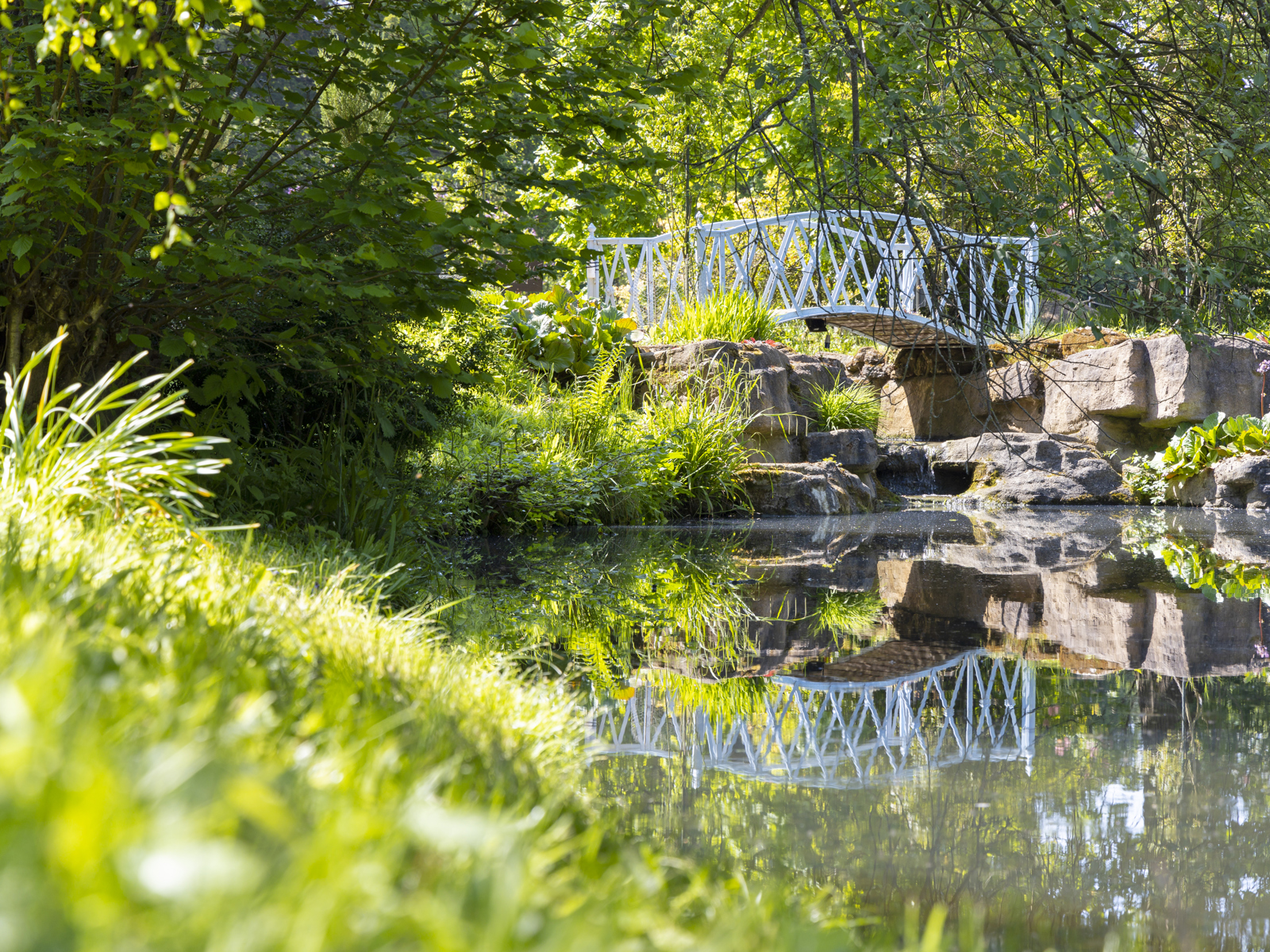 Bridge In Swiss Garden. © The Shuttleworth Trust. Photo Darren Harbar