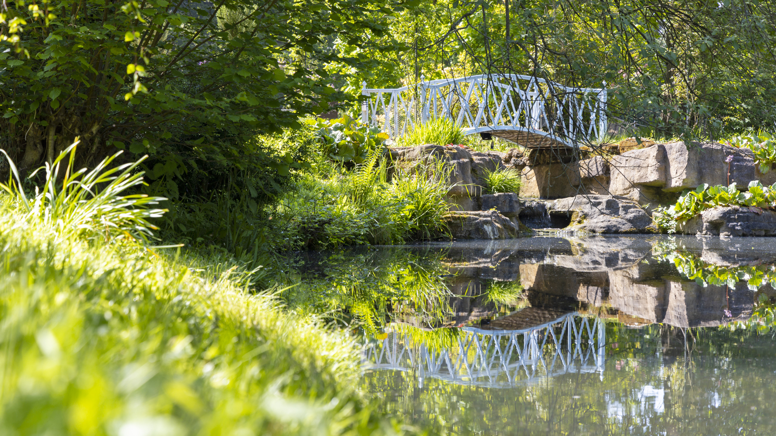 Bridge In Swiss Garden. © The Shuttleworth Trust. Photo Darren Harbar