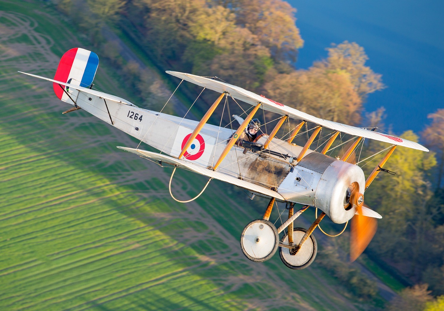 Bristol Scout For Website Bob DH