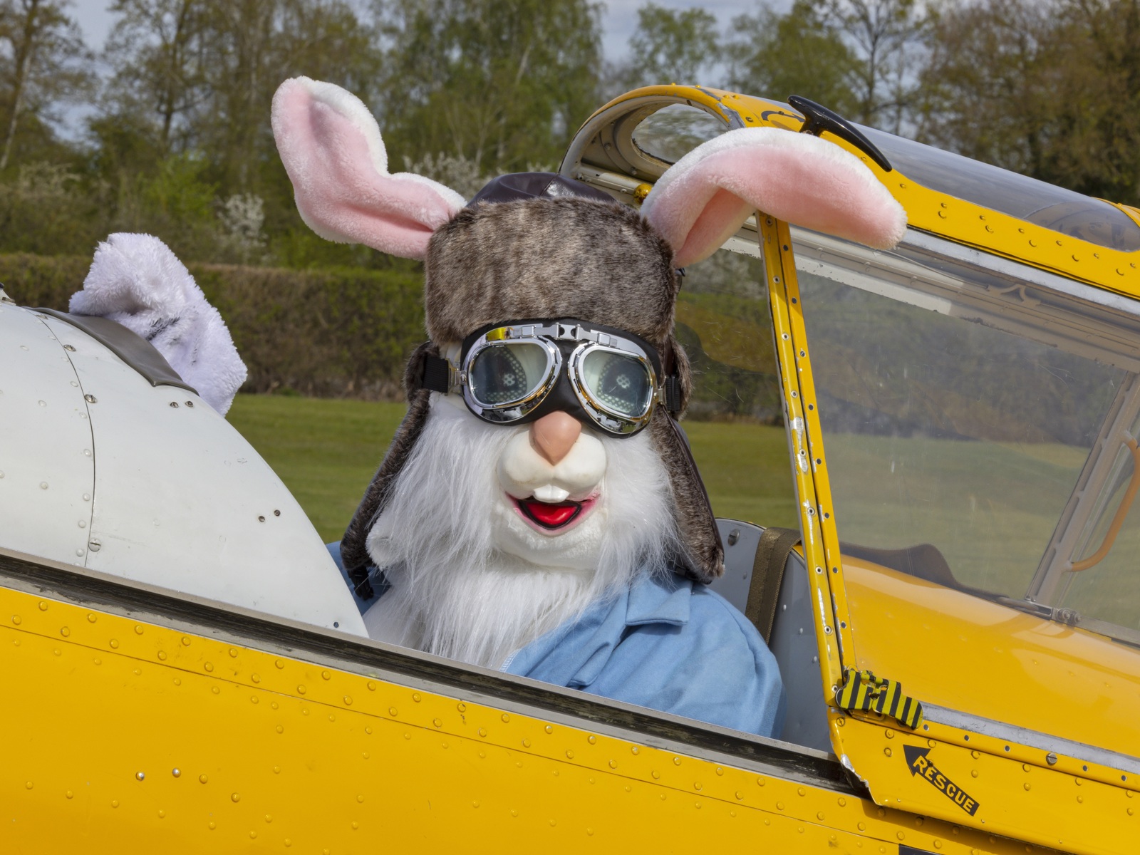 The Easter Bunny Arrives. Easter Fly In. © The Shuttleworth Trust. Photo Darren Harbar