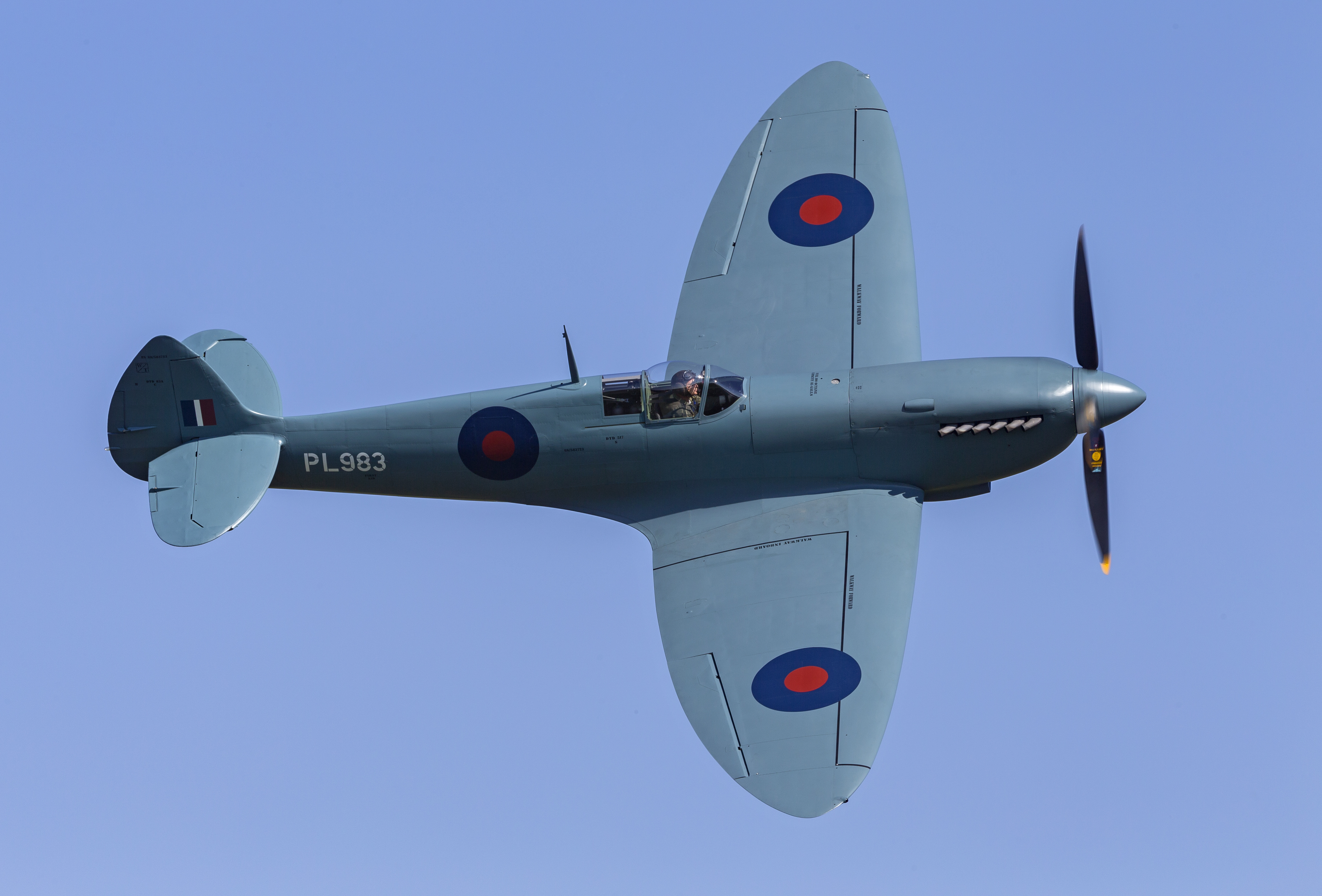 Darren Harbar Photography OW Sep 2018 024