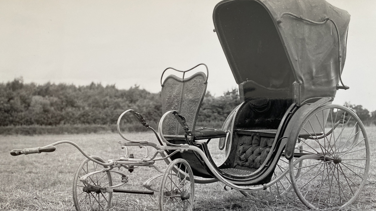 Guttery Pony Phaeton