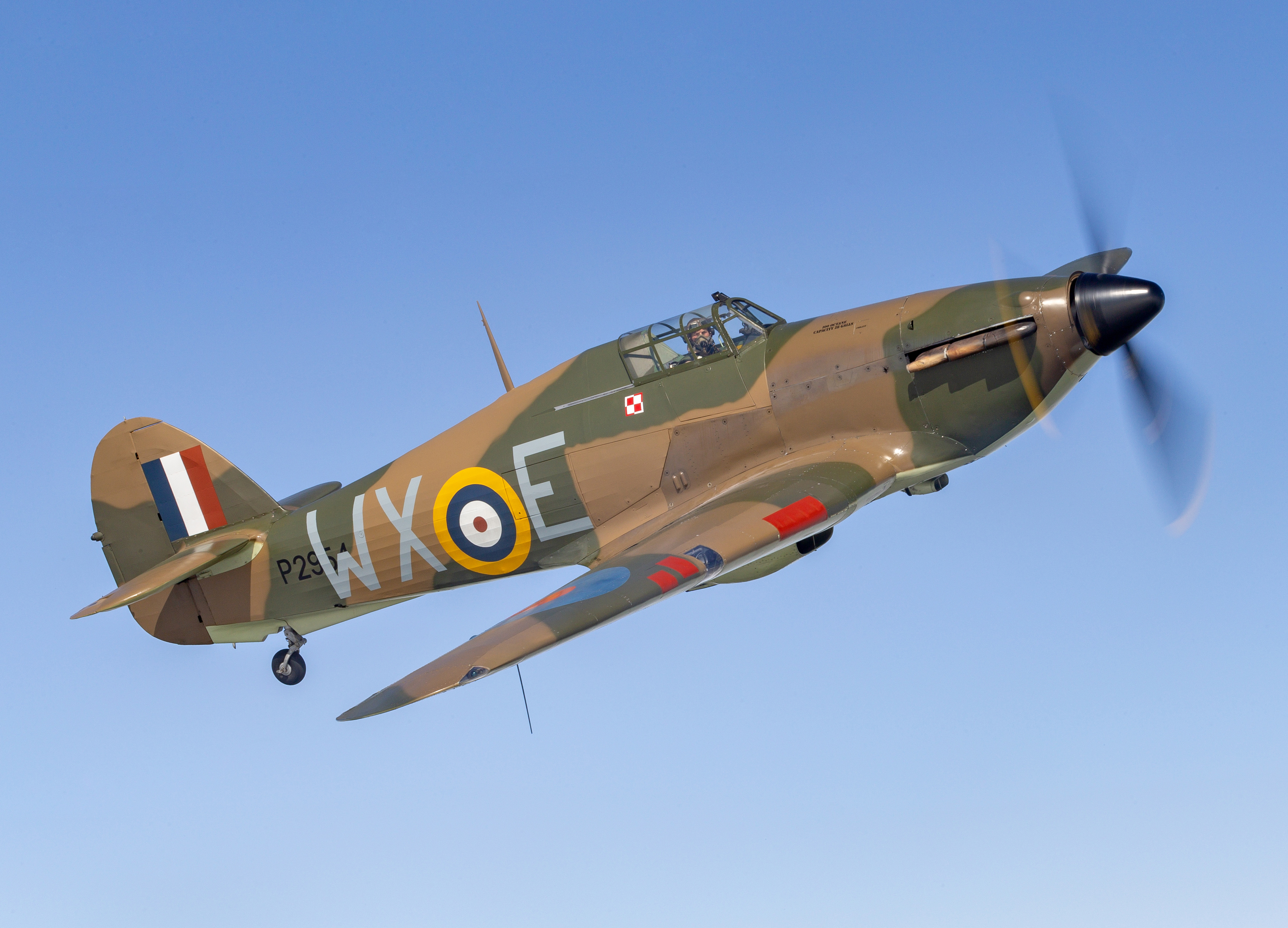 D Harbar PHF 2025 006