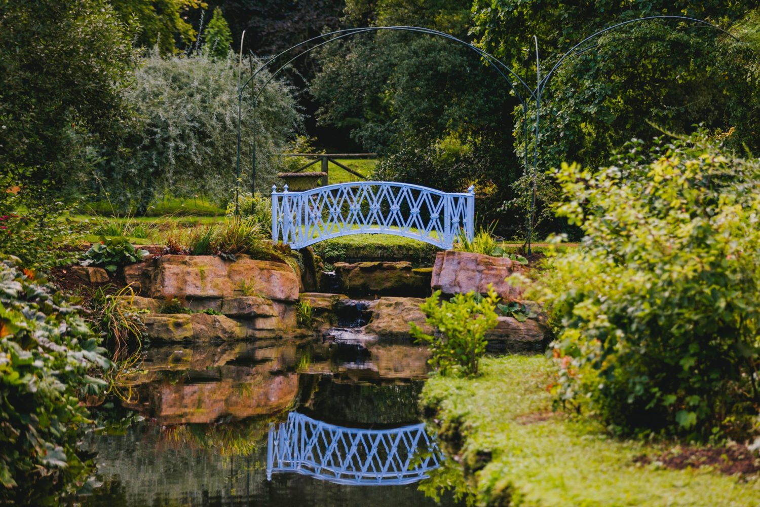 Feature image