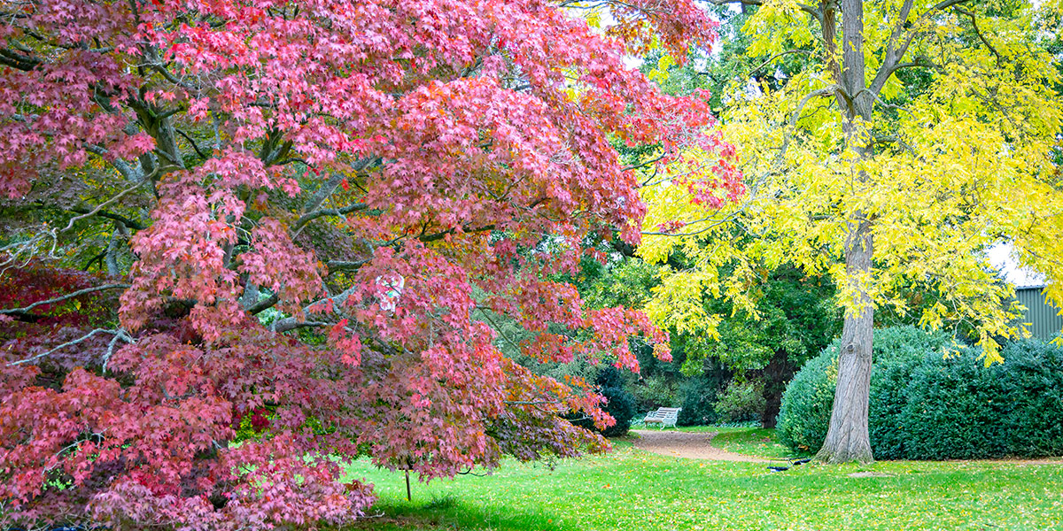 Autumn Walk and Lunch with Head Gardener image