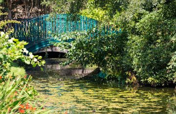 Summer Walk and Lunch with Head Gardener image 4