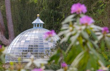 Summer Walk and Lunch with Head Gardener image 2